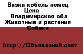 Вязка кобель немец › Цена ­ 100 - Владимирская обл. Животные и растения » Собаки   